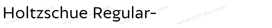 Holtzschue Regular字体转换